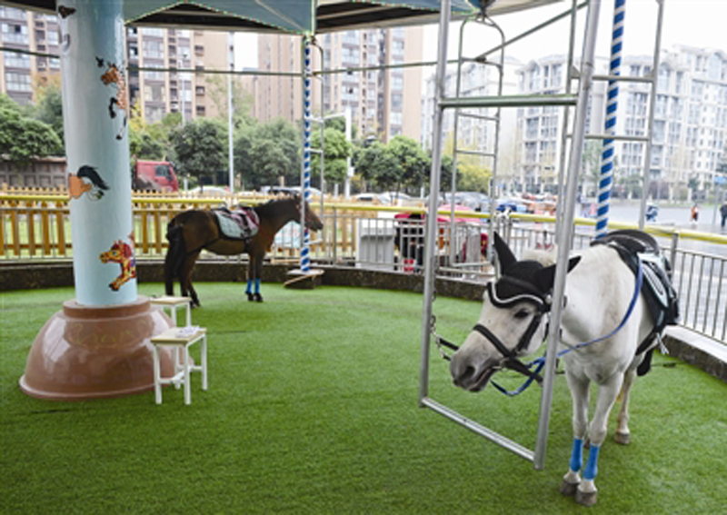 Merry-go-round powered by real ponies sparks outrage in China