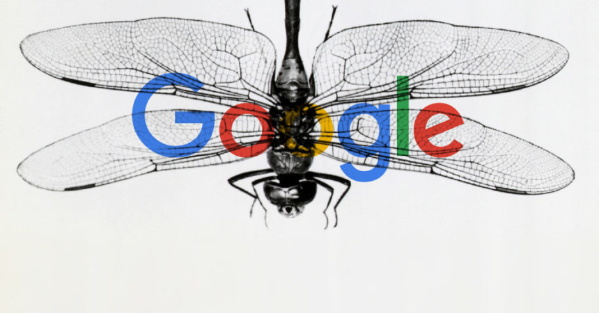 Google hopes to launch Dragonfly within the next nine months, maybe